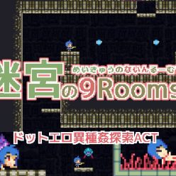 Labyrinth of 9 Rooms