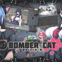 Bomber Cat